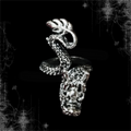 ཐི Dragon Ring ཋྀ