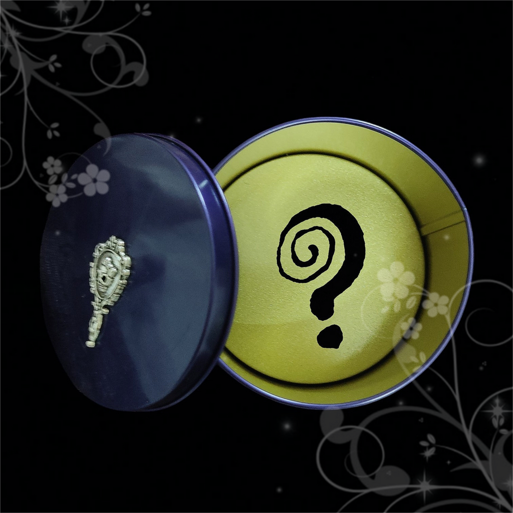 ⊹₊ ⋆Whimsi Mystery Box ☾