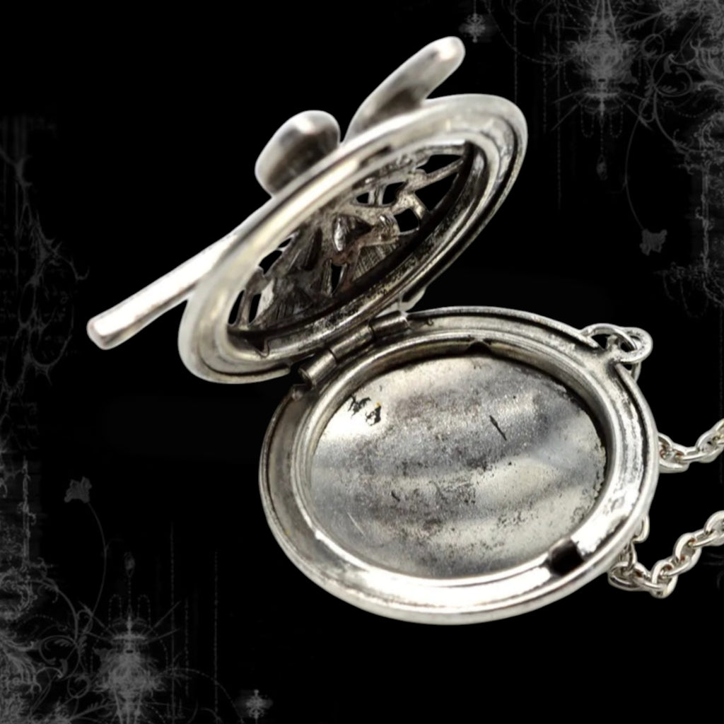 ཐི Dragonfly Necklace (Openable) ཋྀ