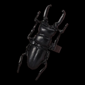 ཐི Bug Ring (Black) ཋྀ