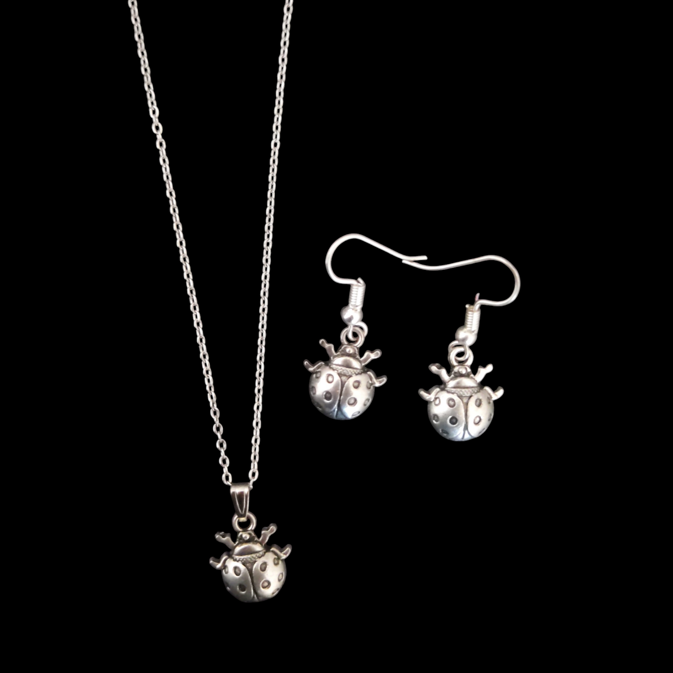 * ੈLadybug Set‧₊˚