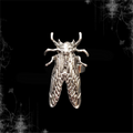 ཐི Insect Ring ཋྀ